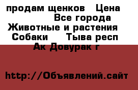 продам щенков › Цена ­ 15 000 - Все города Животные и растения » Собаки   . Тыва респ.,Ак-Довурак г.